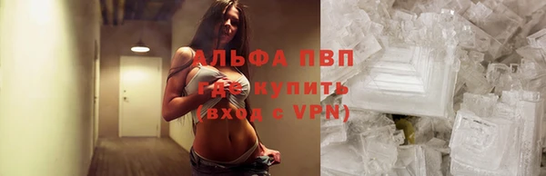 прущие грибы Магас