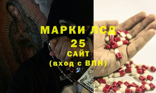 прущие грибы Магас