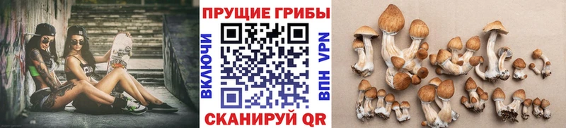 Псилоцибиновые грибы GOLDEN TEACHER Печоры